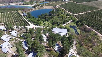 Old Mac Daddy - Campground