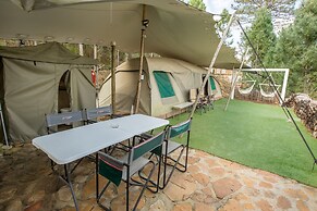 Old Mac Daddy - Campground