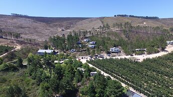 Old Mac Daddy - Campground