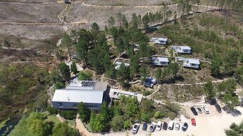 Old Mac Daddy - Campground