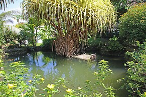 Hof Gorei Beach Resort