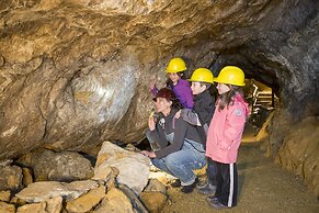 Hôtel Le Président
