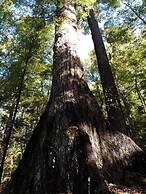 Off The Beaten Trail Accommodation & Bike Tours