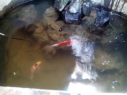 Hotel Rural Cuatro Esquinas