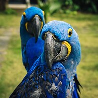 Vedana Lagoon Resort and Spa