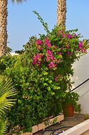 Golden Dream Apartments