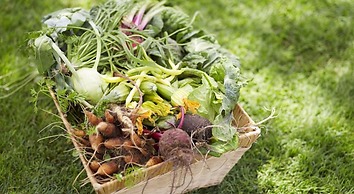 Bells at Killcare Boutique Hotel, Restaurant & Spa