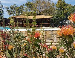 Pumula Lodge 4 Star B&B Knysna