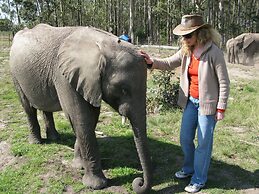 Pumula Lodge 4 Star B&B Knysna