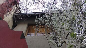 Providencia Bed and Breakfast