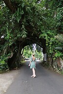 Kelapa Retreat & Spa