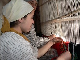 Dar Zitoune - Guest House