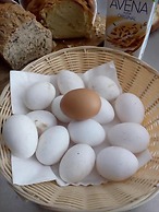 Agriturismo Monte Adamo