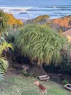 Cove View Bed & Breakfast