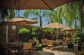 Hotel Maioris Jesús Kumate