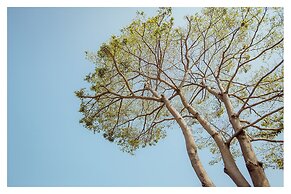 CandyFloss B&B - Kaohsiung