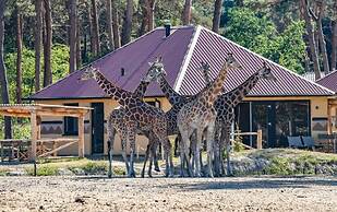 Safari Resort Beekse Bergen