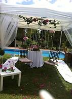 Mas au Coeur de la Provence - Chambres d'hotes