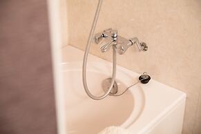 Ancient Hotel asama karuizawa