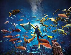 Atlantis The Royal