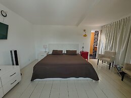 Condesa Haus Rentals