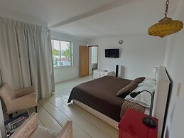 Condesa Haus Rentals