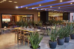 Hyatt Centric Campestre Leon