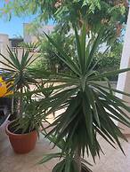 Valentina Lovely Rooms