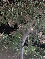 Valentina Lovely Rooms