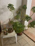 Valentina Lovely Rooms