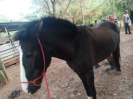 Hotel Fazenda Estancia Torre De Pedra