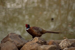 Hotel Fazenda Estancia Torre De Pedra