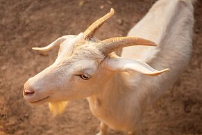 Hotel Fazenda Estancia Torre De Pedra