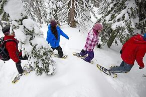 Trappers Landing #11