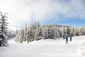 Trappers Landing #11