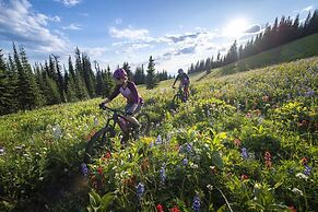 Trappers Landing #11