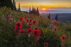 Trappers Landing #11