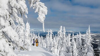 Trappers Landing #07 By Bear Country