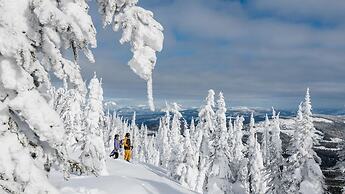 Snow Creek Village #48 By Bear Country