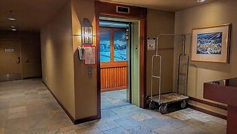 Fireside Lodge #419 By Bear Country