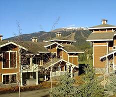 Stones Throw #11 By Bear Country