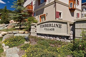 Timberline Village #14 By Bear Country