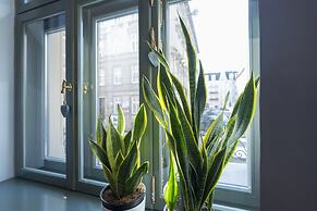 Provenir Home Strzelecka 25