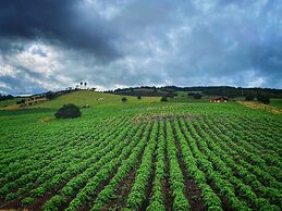 Casita Agrreste Bed & Breakfast