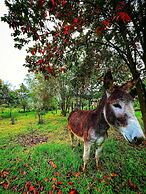 Casita Agrreste Bed & Breakfast