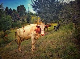 Cabaña Agrreste Bed & Breakfast