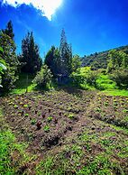 Cabaña Agrreste Bed & Breakfast