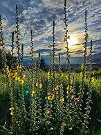 Cabaña Agrreste Bed & Breakfast