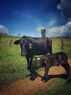 Cabaña Agrreste Bed & Breakfast