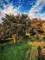 Cabaña Agrreste Bed & Breakfast